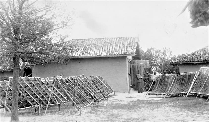 Prin cafenelele Tulcei, de ieri și… alaltăieri (episodul 18)